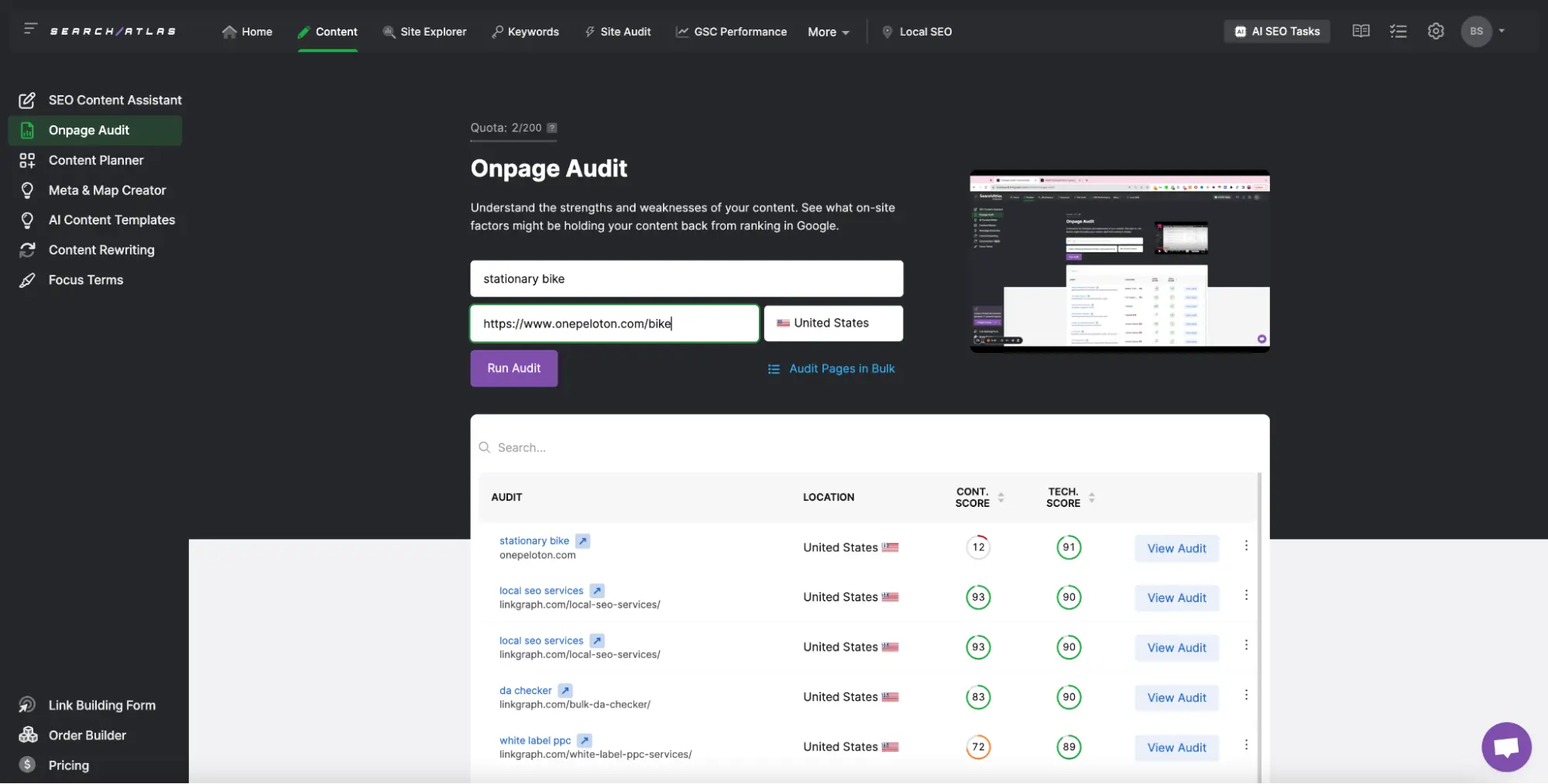 Enter your target keywords and the page URL for your audit
