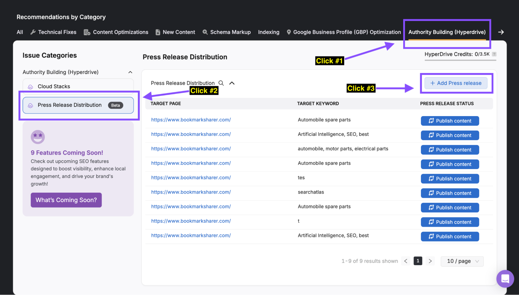 Screenshot of a webpage showing a process for press release distribution via Otto SEO. Instructions indicate steps to add a press release and target websites for distribution, listing target website URLs and issue categories.