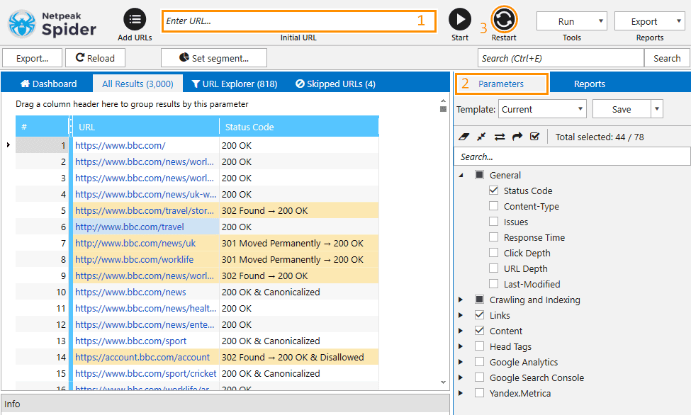 netspeak software site audit