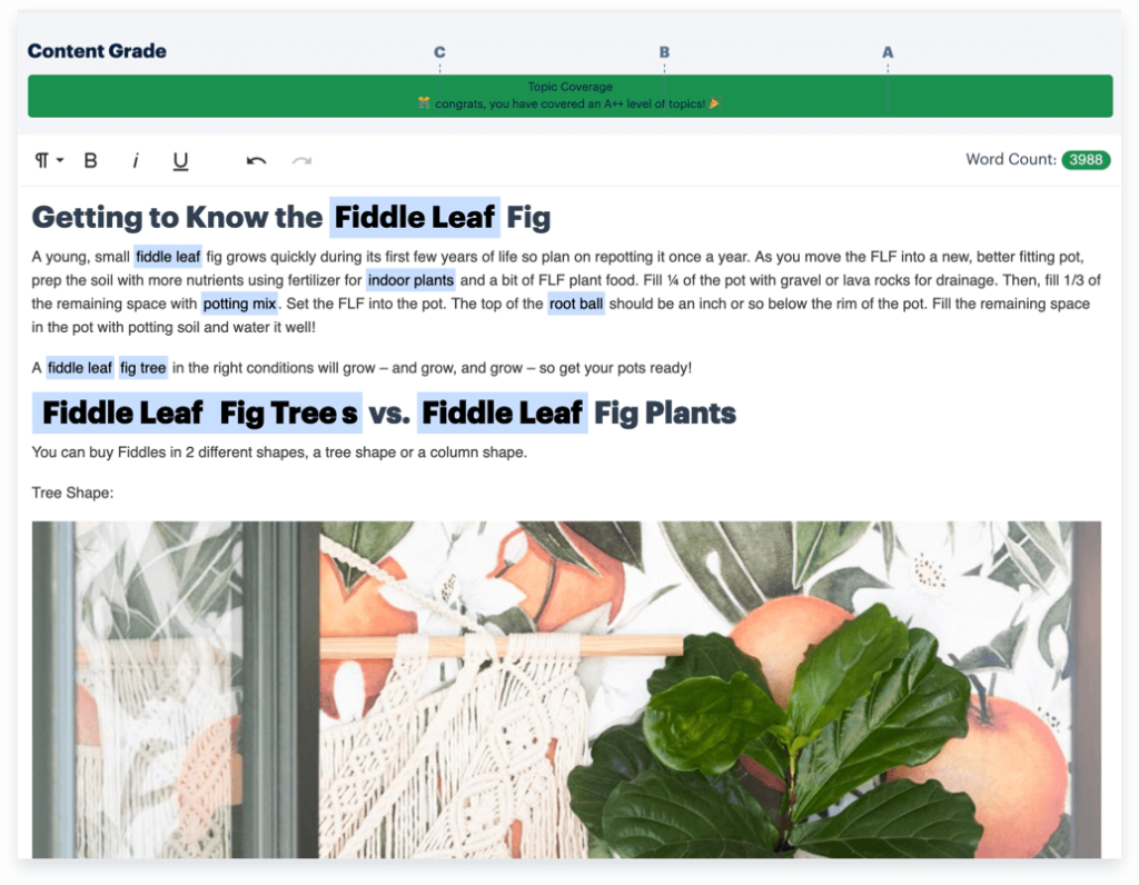 Use Topic Content Grade Tool