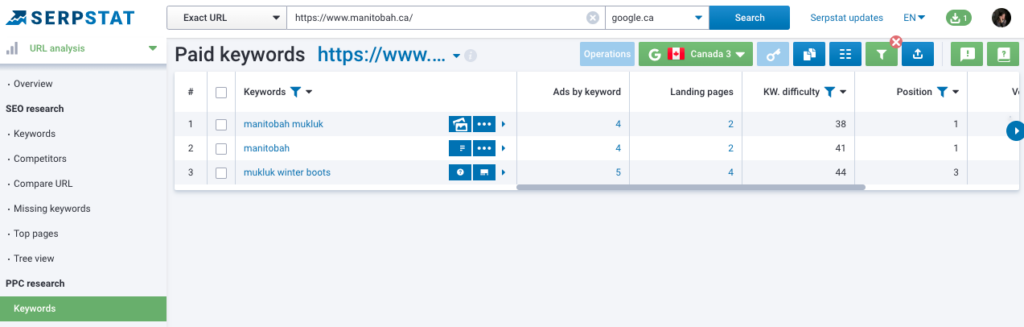 serpstat Google ads campaigns