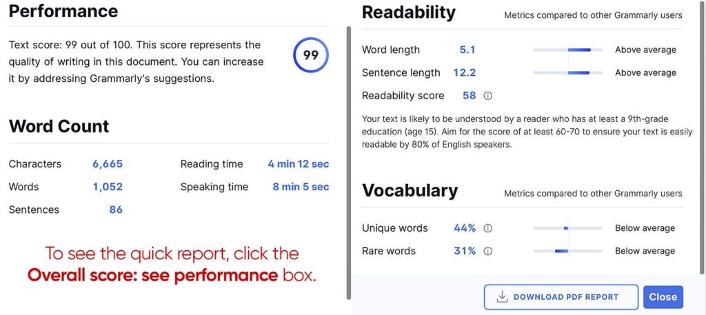 Grammarly performance score