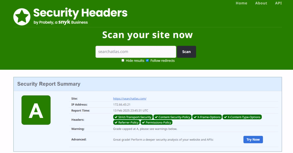 security report summary