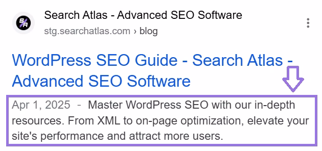 optimizing meta desc in WP
