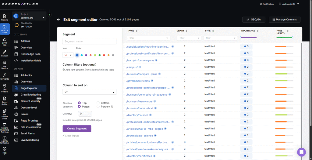Search atlas site audit page explorer segment