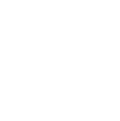 Number 01