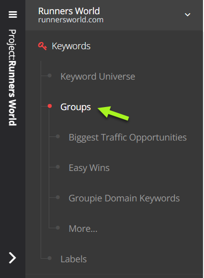 spyfu keyword groups for export