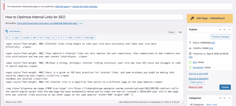 HTML text editor in WordPress