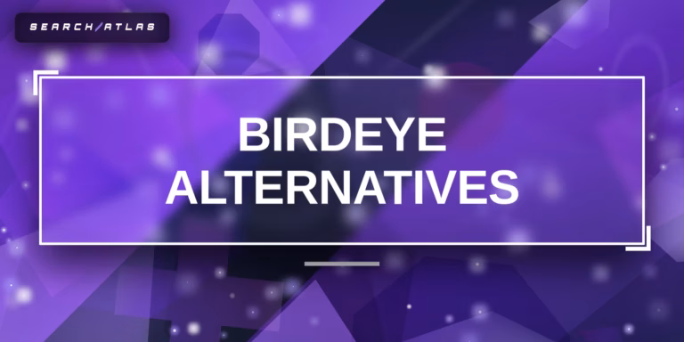 Alternatives to Birdeye